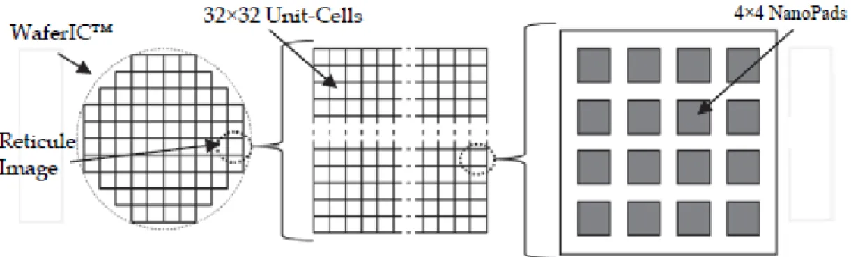 Figure 1-2: Zoom au niveau d’un réticule et d’une cellule (figure extraite de [9]). 