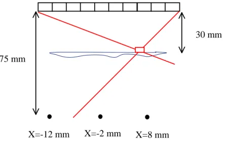 Figure 29 Simulation setup. A virtual transducer with its directivity pattern is shown in red