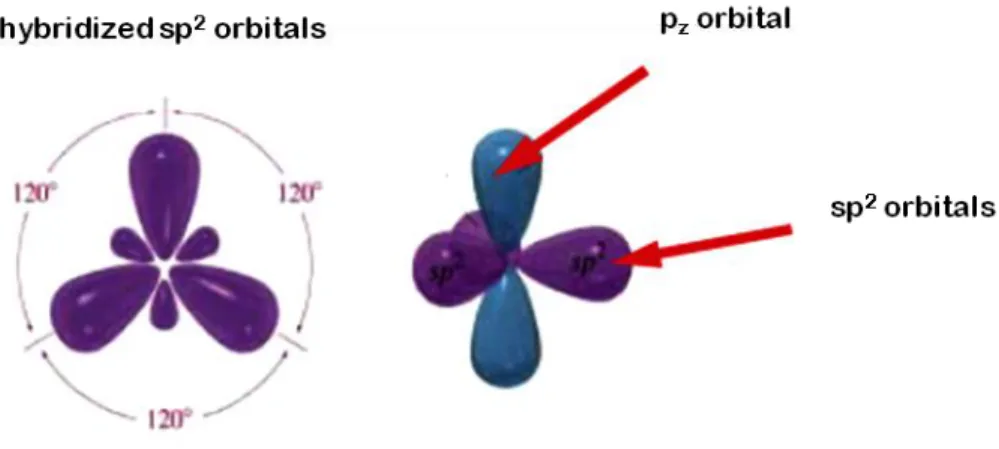 Figure 1.2 – sp 2  hybridization of a carbon atom. (Left) In-plane arrangement of the sp 2  orbitals;  (right) three dimensional representation of the sp 2  and p z  orbitals