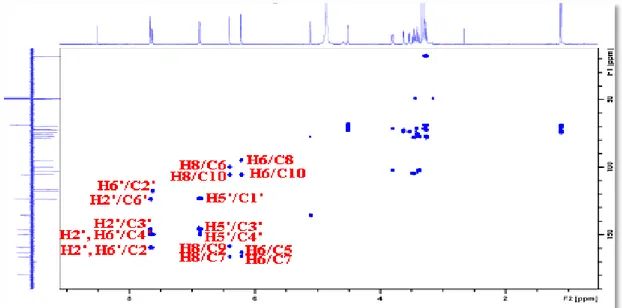 Figure III.10: Spectre HMBC de la partie aglycone du composé AM1 