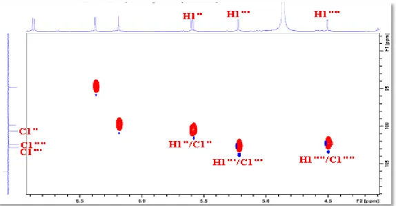 Figure III.21: Spectre HSQC montrant les protons et carbones anomères (AM2) 