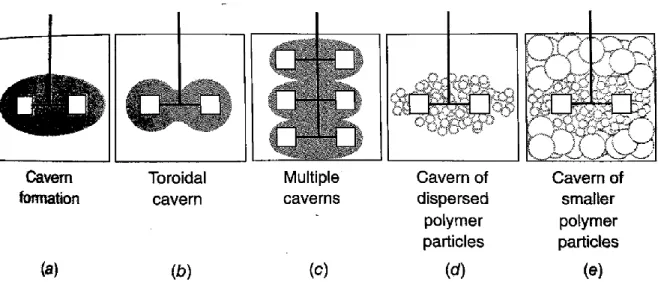 Figure 2-7 : Schématisation des différentes formes de cavernes (Spicer &amp; Gilchrist, 2016)