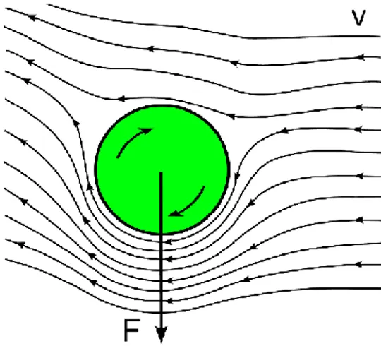 Figure 2-12 : Représentation de l'effet de Magnus sur le champ de vitesse V et de la force F  résultante (Kosiorek, 2007)