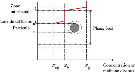 Figure 2.8 : Schéma simplifié du processus de formation d’une particule d’hydrate en phase 