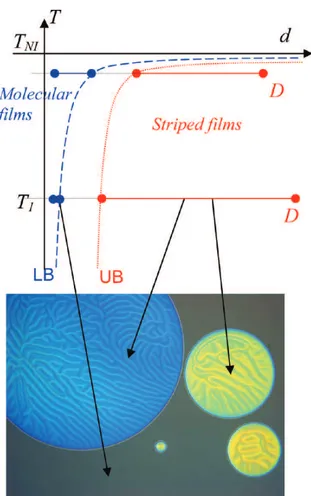 Figure 4. Series of nCBs on a glycerol substrate. χ = 2π(d/λ) is measured at a given distance from the NI transition