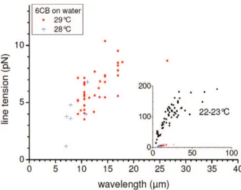 Figure 13. Line tension at the edge of striped domains surrounded by a “thick molecular” film of thickness LB close to the NI transition