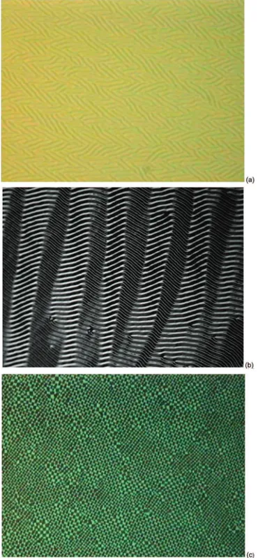Figure 4. Wavelength (µm) versus thickness (µm) for various compounds. (2) 6CB on glycerol, (0) 6CB on water, (O) 5CB on glycerol, (9) 8CB on glycerol at T ) 35 °C
