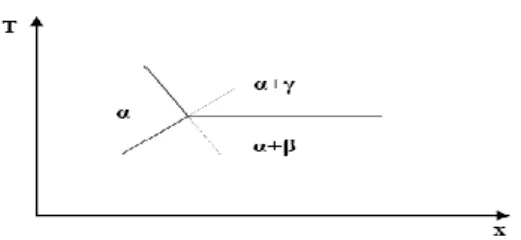 Figure I.2 : Disposition des courbes au palier d’invariance 
