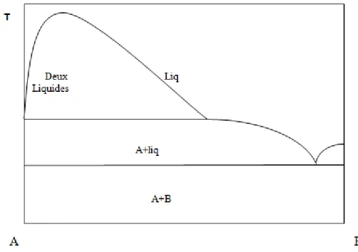 Figure I.7 : Diagramme binaire avec miscibilité partielle en phase liquide  