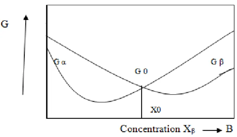 Figure I. 8 : Variation de l’enthalpie libre d’un système binaire à P et T constants 