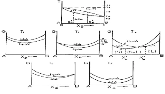 Figure I.10 : Courbes d’enthalpies libres à diverses températures pour un système 