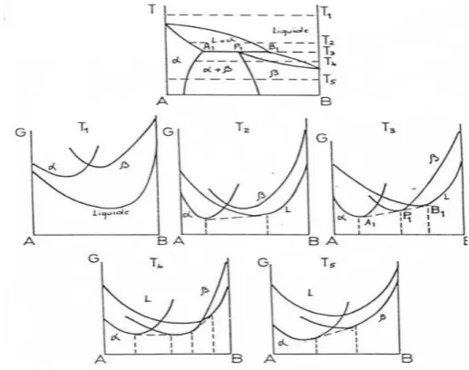Figure I.12 : Courbes d’enthalpies libres à diverses températures pour une réaction 