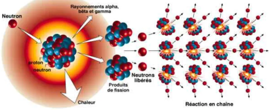 Figure 3.2 – Sch´ema d’une r´eaction en chaˆıne de fission.