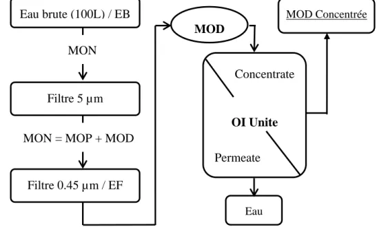 Figure II.1.16 : Schéma général du protocole de concentration de la  MOD. 