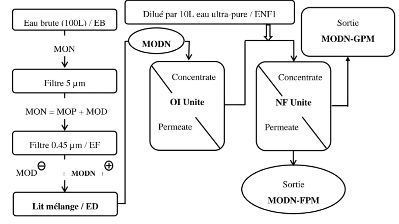 Figure I.13 : Schéma général du protocole d’isolation, de concentration et de  fractionnement des MODN