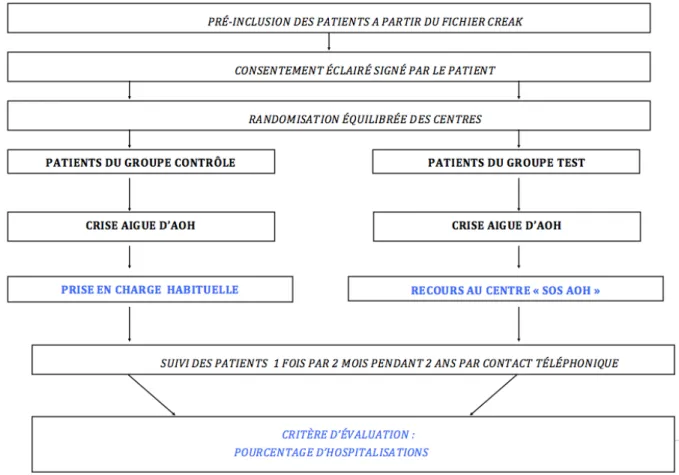 Figure 2 Présentation schématique de l'étude SOS AOH 