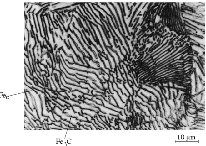 FIG. I.1 Microstructure d’un acier au carbone (0,8% pds C) vue au microscope optique. Celle-ci  est formée de lamelles de Fe α  et de Fe 3 C