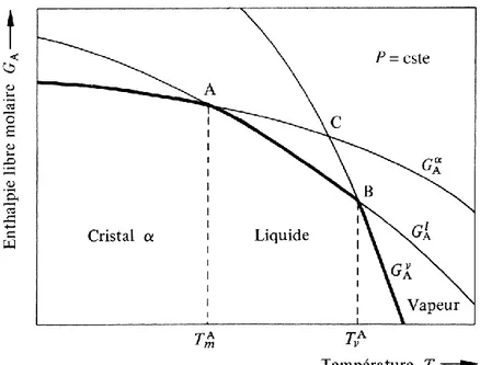 FIG. I.5 Variation à pression constante de l’enthalpie libre des trois phases stables d’une  substance pure A en fonction de la température
