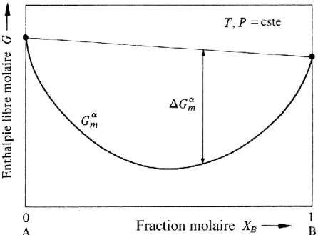 FIG. I.6 Variation de l’enthalpie libre de mélange G m  pour une phase α à T et P constantes en 