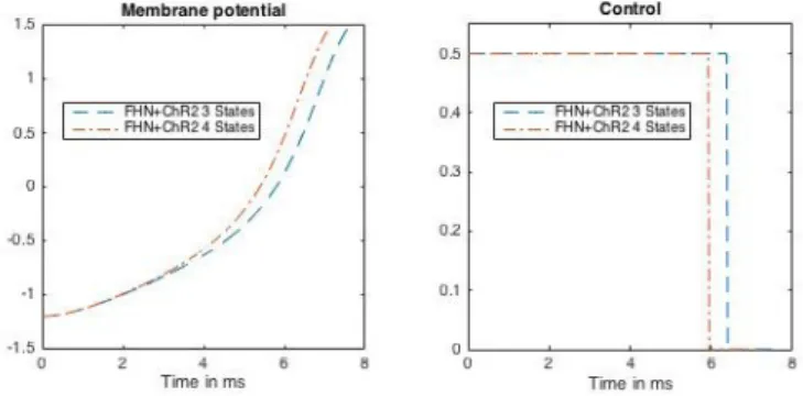 Figure 8 – Optimal trajectory and bang-bang optimal control for the FHN-ChR2-3-states and FHN-ChR2-4-states models with u max = 0.5.