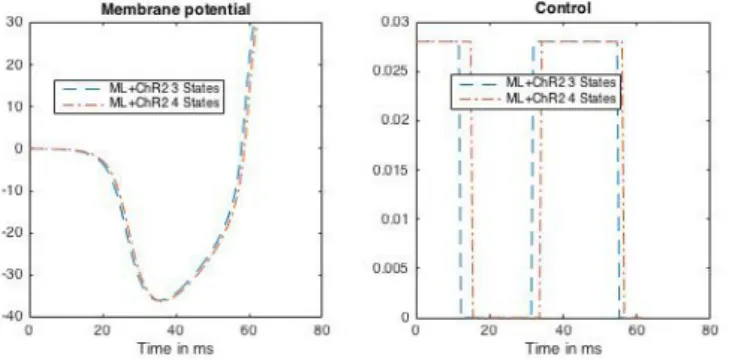 Figure 10 – Optimal trajectory and bang-bang optimal control for the ML-ChR2-3-states and ML-ChR2-4-states models with u max = 0.028.