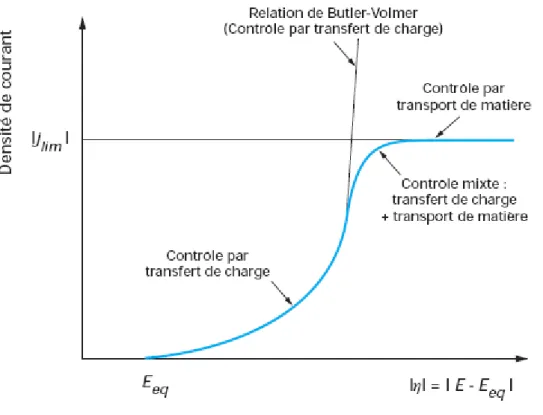 Figure  ‎1.5 : Courbe schématique de la cinétique et le transfert de matière [ 5 ] 