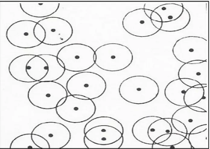 Figure  ‎1.6 : Plan schématique des germes hémisphériques () distribués 
