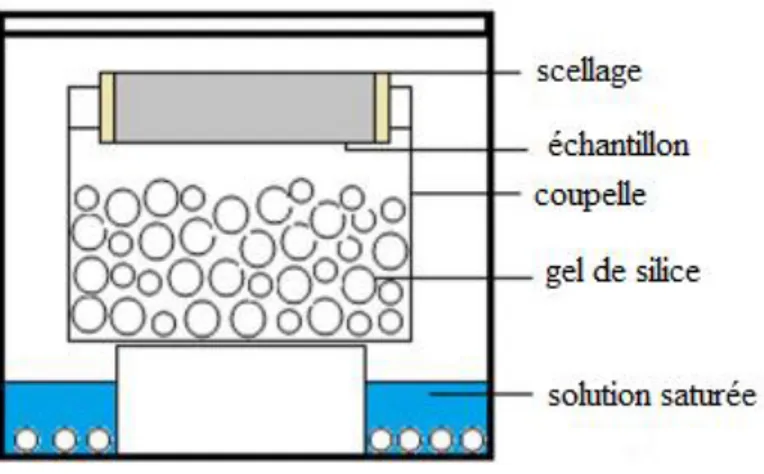 Figure II.8. Représentation schématique du test de perméabilité à la vapeur d’eau.  Le  taux  de  masse  (G)  est  calculé  par  une  régression  linéaire  de  la  cinétique  de  masse,  et  la  perméabilité à la vapeur d’eau est déduite par l’équation (19) [19] :    