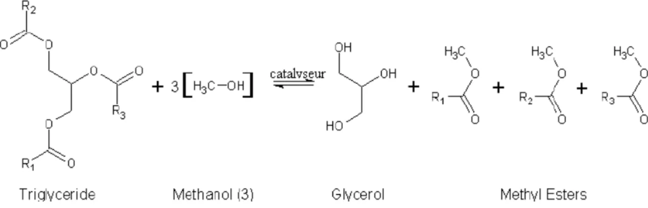 Figure 1.2 Transestérification d’un triglycéride par le méthanol (CH 3 OH). 