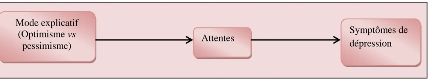 Figure 5. Le mode explicatif comme variable distale par rapport des symptômes dépressifs  Peterson et Vaidya (2001) ont d’ailleurs montré que l’effet du mode explicatif sur la  survenue des symptômes de la dépression est influencée par les attentes de la personne à être  confrontée  ou  pas  à  une  série  d’événements  positifs  ou  négatifs,  ce  qui  confère  au  mode  explicatif  un  rôle  de  variable  distale  dont  les  effets  sur  la  dépression  sont  impactés  par  d’autres  variables  (i.e.,  les  expectations) ;  lesquelles  seraient  plus  proximales  et  expliqueraient,  selon  Rascle  et  Irachabal  (2001),  pourquoi  et  comment  les  effets  peuvent  Symptômes de dépression Attentes  Mode explicatif (Optimisme vs pessimisme) 