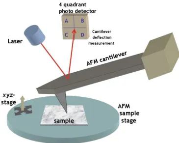 Figure 2.3: Working principle of an AFM instrument [57]. 