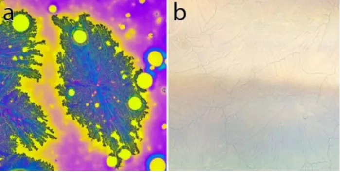 Figure 2.6: 500 µm500 µm optical images of a DHI-based sample on (a) 200 nm-thick SiO 2 /Si 