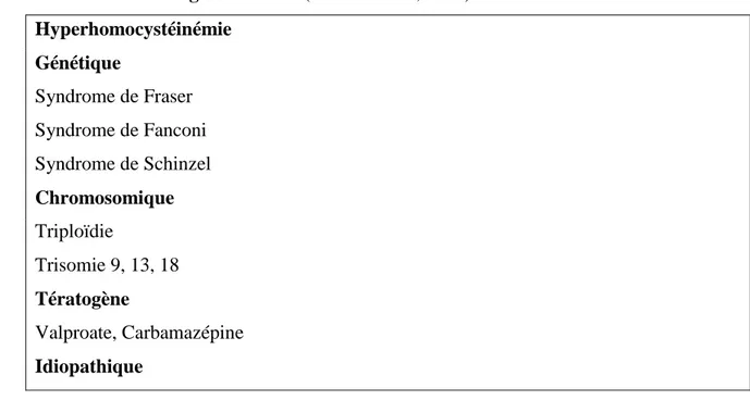 Tableau II : Etiologies des ATN (Wilson et al ., 2003)  Hyperhomocystéinémie  Génétique  Syndrome de Fraser  Syndrome de Fanconi  Syndrome de Schinzel  Chromosomique  Triploïdie  Trisomie 9, 13, 18  Tératogène  Valproate, Carbamazépine  Idiopathique  5.1