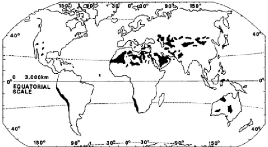 Fig. 1.1: R´ epartition des champs de dunes de sable sur Terre (rep´er´es en noir