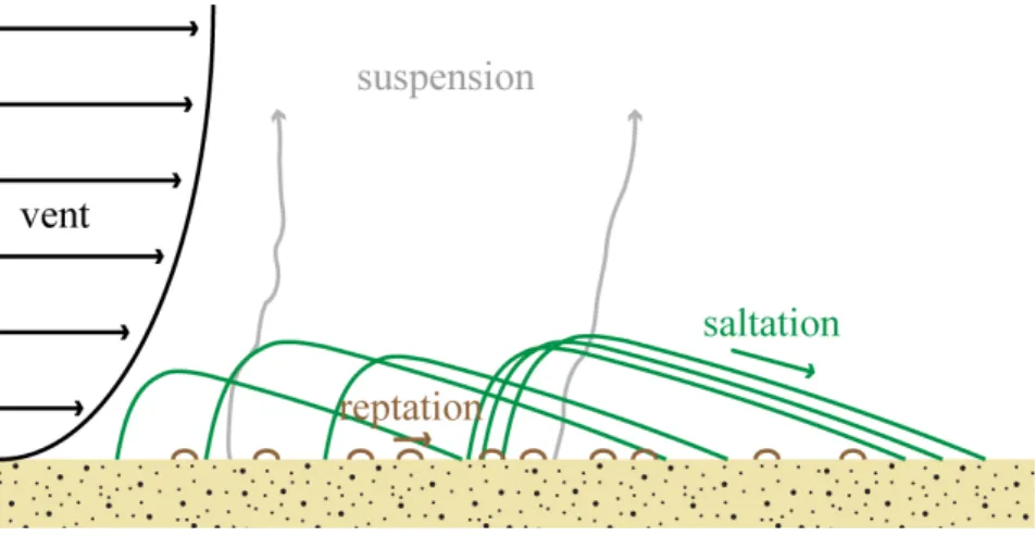 Fig. 2.4: Modes de transport des grains. Repr´esentation sch´ematique des 3 types