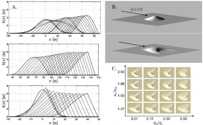 Fig. 2.6: Profil de dune par mod` ele continu. A.) ´ Etude de convergence vers la