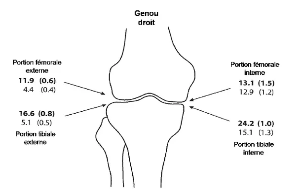 Figure 3.5. Illustration, pour un genou droit, de la distribution de la prévalence radiologique de  la présence d’ostéophytes et de sclérose entre les compartiments fémorotibiaux
