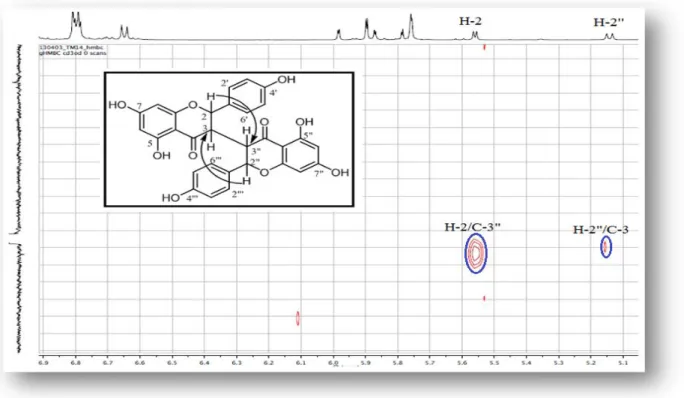 Figure III-77: Partie du spectre HMBC du composé D Dans cette expérience (Figure III-78), on rencontre d'autres corrélations entre: