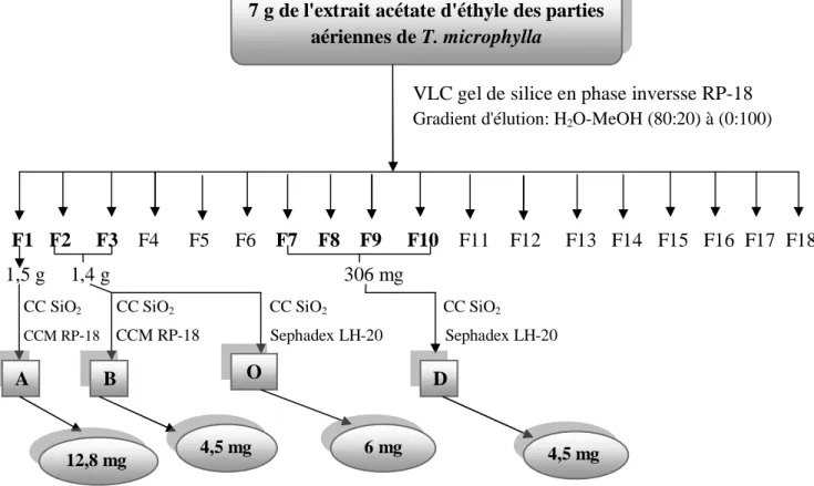 Figure III-2: Schéma de purification de l'extrait AcOEt des parties aériennes de