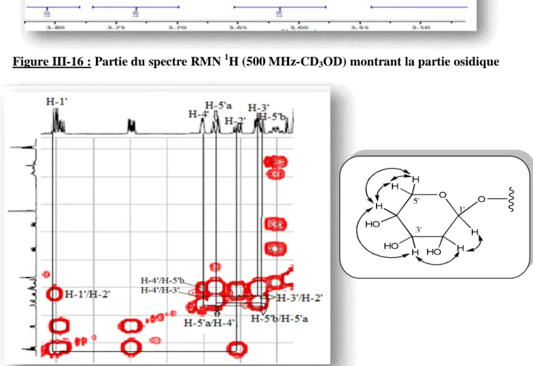 Figure III-17: Partie du spectre COSY montrant la zone osidique du composé A Les grandes valeurs de constantes de couplage (J H1'-H2' = 8,0; et J H2'-H3' =  9,5 Hz) indiquent