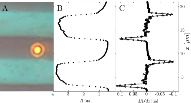 Figure 2.17 – Image de la tache de focalisation obtenue avec le laser titane :saphir sur une cible pour déterminer la résolution spatiale du dispositif