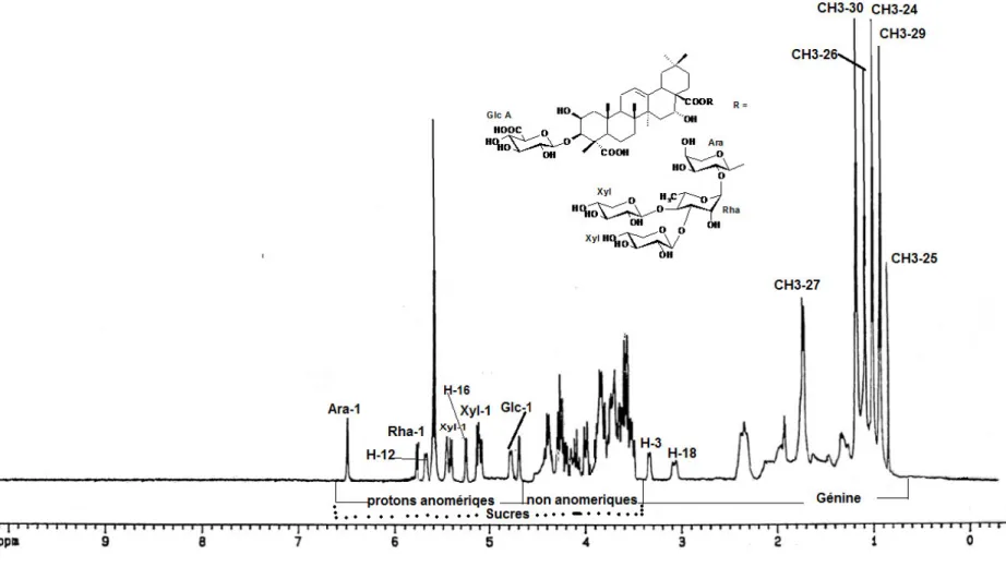 Figure  4 : Spectre RMN  1  H du composé 1(saponine 1) (DMSO d 6 , 600 MHz)