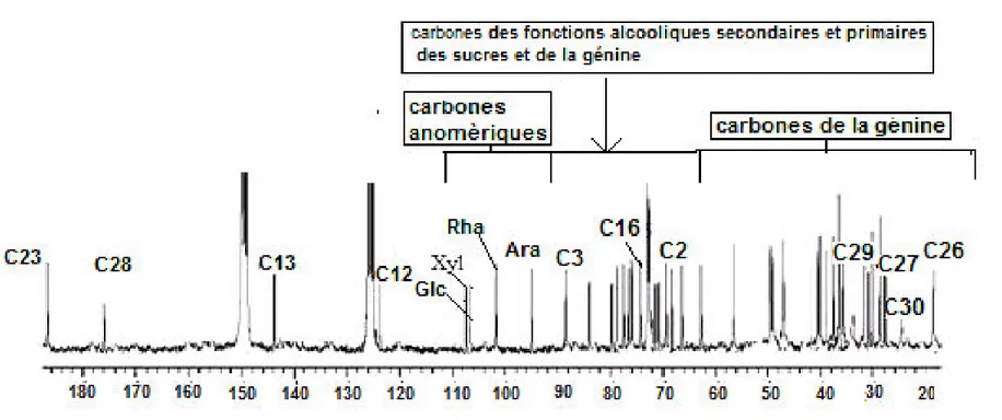 Figure  13 : Spectre RMN 13 C  (saponine 2) composé 2  (DMSO d 6 , 125 MHz), (δ ppm).