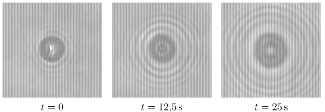 Figure 2.6 – Hologrammes d’une particule de latex de 10 µm de dia- dia-mètre pris à trois instants différents.