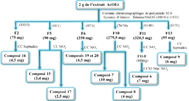Figure III.5: Schéma de purification des produits de l’extrait AcOEt d’Atractylis flava 