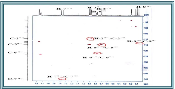 Figure III.49: Spectre HSQC de la partie acyle du composé 2 