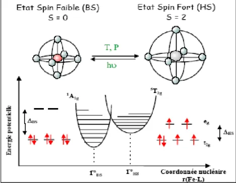Figure 1.6 —Schéma de l’évolution de la sphère de coordination du métal et le di- di-agramme de configuration de la conversion avec les niveaux d’énergie vibrationnelle du fer(II).