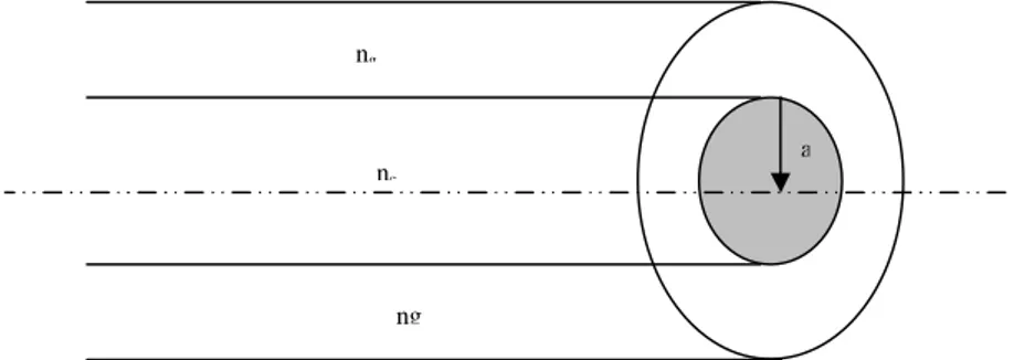 Fig. 3-5 : La transmission du signal au cœur de la fibre 