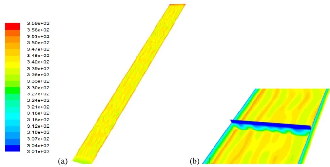 Figure 4.13 : Champ de température : (a) au niveau de l’absorbeur  (b) absorbeur avec une  coupe transversale (yoz) se trouvant à mi-x