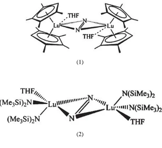 Figure II-1 : Les complexes bimétalliques  (1) [(C 5 Me 4 H) 2  Lu THF]  2 (  -  2 :  2 N 2 )  